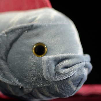 56CM Length Real Life Oarfish Stuffed Toys Super Soft Ribbon Fish Plush Toy Sea Animal Toys For Kids Birthday Gifts