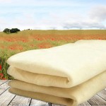 BU-Bauty  new hot 40 * 70CM 32 * 43CM Natural Shammy Chamois Leather Car Cleaning Towels Drying Washing Cloth New Arrival
