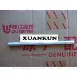 XUANKUN (The New) 600 Link