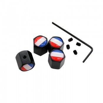 10Sets/Lot Anti-theft Style Germany Russia US UK Italy France Flag Wheel Tire Valve Cap Tyre Dust Cap For Audi BMW Benz VW Mazda