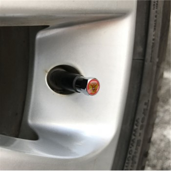 4pcs/set car-styling Russian Eagle Emblem Automobiles Wheel Tire Valve Caps Dust Cover metal car Decoration accessories
