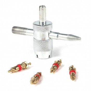 4PCS Tyre Air Valve Caps Fit All Schrader Valve Tool with 4PCS Valve Cores (Gold)
