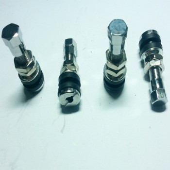 TR161 2pcs Stem Electrombile Rim Stainless Steel Bolt Motorcycles Tire Valve Dust Cap Tubeless Wheel Scooter