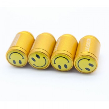 DSYCAR 4Pcs/lot Universal Car Moto Bike Tire Wheel Valve Cap Dust cover Car Styling for Fiat Audi Ford Bmw VW Honda opel car