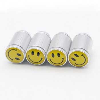 DSYCAR 4Pcs/lot Universal Car Moto Bike Tire Wheel Valve Cap Dust cover Car Styling for Fiat Audi Ford Bmw VW Honda opel car
