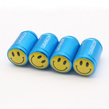 DSYCAR 4Pcs/lot Universal Car Moto Bike Tire Wheel Valve Cap Dust cover Car Styling for Fiat Audi Ford Bmw VW Honda opel car
