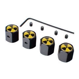 Boom Car Styling Accessories 4pcs Valve Caps Tires Stems Cover Dust Tapon Valvnule Motorcycle Automobile Anti Theft Caps