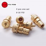 5pcs/Set 4WD Automatic Brass Off-Road Tire Tyre Deflators Bleed Valve Set 6-30 PSI Universal fit for SUV Accessory