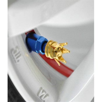 * DSYCAR 4Pcs/lot Universal Car Moto Bike Tire Wheel Valve Cap Dust cover Car Styling for Fiat Audi Ford Bmw car VW Lada opel