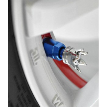 * DSYCAR 4Pcs/lot Universal Car Moto Bike Tire Wheel Valve Cap Dust cover Car Styling for Fiat Audi Ford Bmw car VW Lada opel