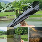 Blackamp;Grey Window Vinyl Solar Tint Film Window Glass Sticker Self-adhesive Effective Resist Sunlight Improve Privacy Protection