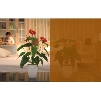 60 x 100 VLT 20% Clear orange Solar Film/Tint/Window/Glass/Privacy/Roll/UV
