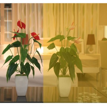 0.9x30m 2Mil Bright Yellow Tint Window Film 70%VLT Decorative Colored Window Film for Home Office Hotel