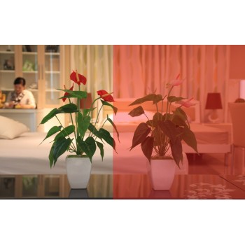 sun control window tints red decorative home film 152cm x 30m long