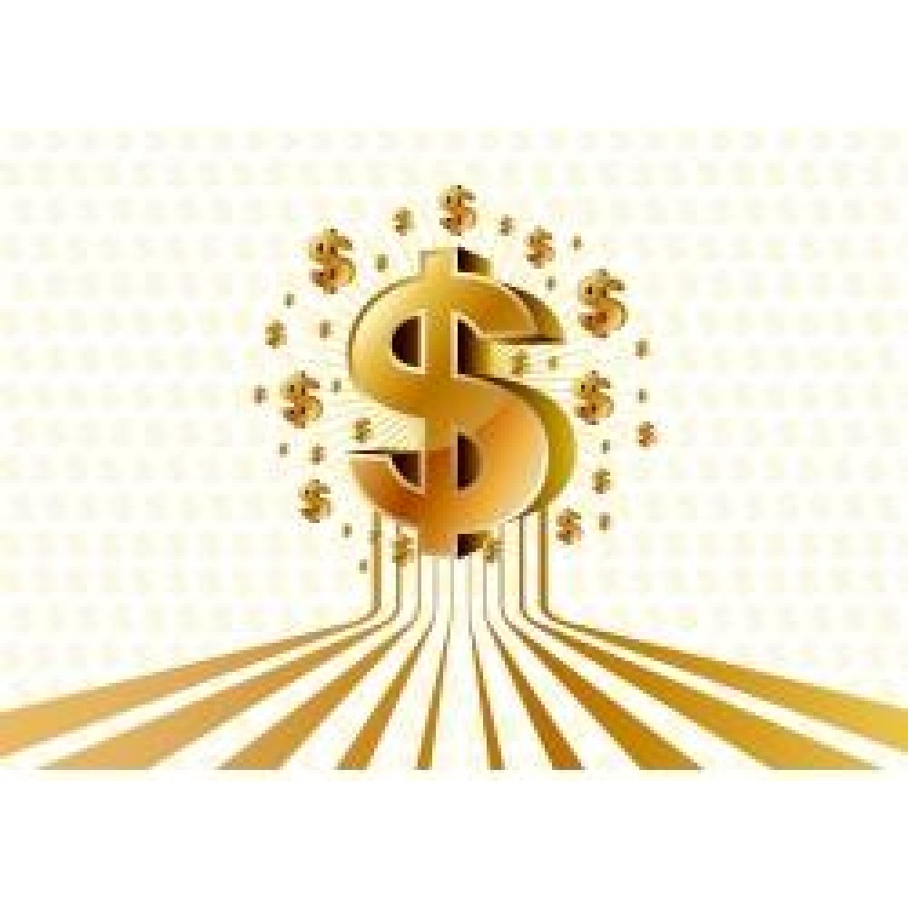 Pay for extra money (Not real item)