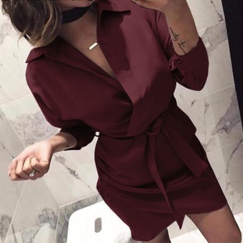 Shirt Dress 2018 Women Autumn Dress Long Sleeve Turn-Down Collar Casual T Shirt Dress 4 Colour Casual Mini Office Dress