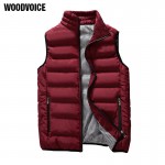 Casual Vest Men Autumn Winter Jackets Thick Vests Man Sleeveless Coats Male Warm Cotton-Padded Waistcoat men gilet veste hommes