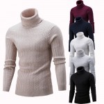 SHUJIN Spring Warm Turtleneck Sweater Men Fashion Solid Knitted Mens Sweaters 2018 Casual Male Double Collar Slim Fit Pullover