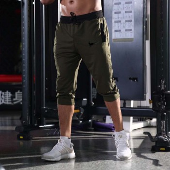 2019 Summer New Mens shorts Printed Casual Fashion Jogger Knee Length Sweatpants Man Fitness Drawstring shorts