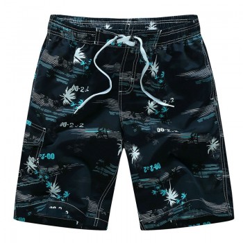 2019 new arrivals Summer Beach Shorts fashion printed quick dry board shorts M-3XL drop shipping AYG216