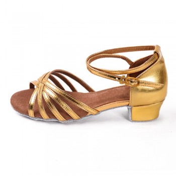 3.5cm/4cm Children Girls Ballroom/Latin Dance Dancing Shoes Professional Tango Dance Shoes Heeled Salsa Shoes Women