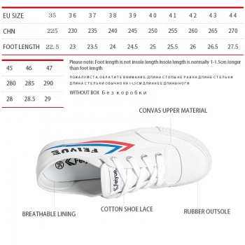 Feiyue Men Kungfu Shoes Sneakers Sports Shoes Taichi Taekwondo Sports Sneakers Trainning Walking Sneakers Men Women Trainers