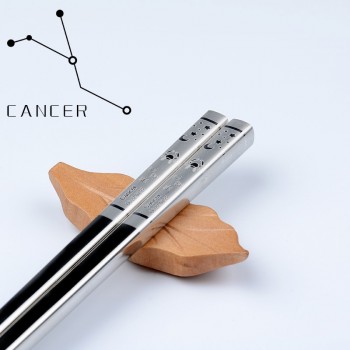 IRONX Chopsticks  Reusable Chinese Chopstick 12 Constellations 304 Stainless Steel  Chop sticks Sushi Sticks Kitchen Accessories