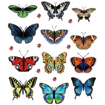 12pcs Luminous glow in dark Butterfly Design Decal Magnetic magnet sticking 3D double feather butterfly fridge stickes       802