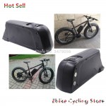 Free Shipping Rechargeable Ebike 24v 36v 48v 52V Electric bike battery dolphin type with USB for E-bike battery pack