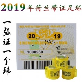 2019 NL Pigeon ring with cards Bird RINGS 20PCS/lOT