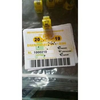 2019 NL Pigeon ring with cards Bird RINGS 20PCS/lOT