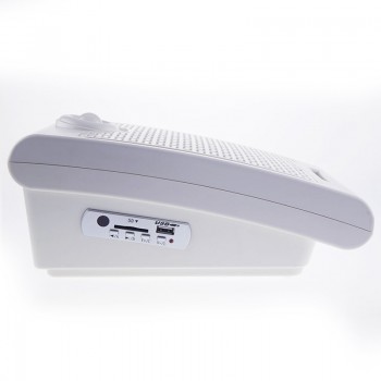 WT01 Wall Mounted PIR Motion Sensor Audio Speaker Infrared Body Sensor Alarm Public Place Voice Broadcast SD Card Play