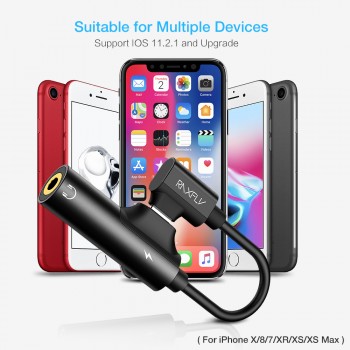 RAXFLY 2in1 Charging Audio Adapter For iPhone 7 8 Plus Lightning to 3.5MM Converter For iPhone X XS Max 3.5 Jack Charge Splitter