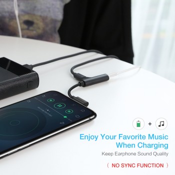 RAXFLY 2in1 Charging Audio Adapter For iPhone 7 8 Plus Lightning to 3.5MM Converter For iPhone X XS Max 3.5 Jack Charge Splitter