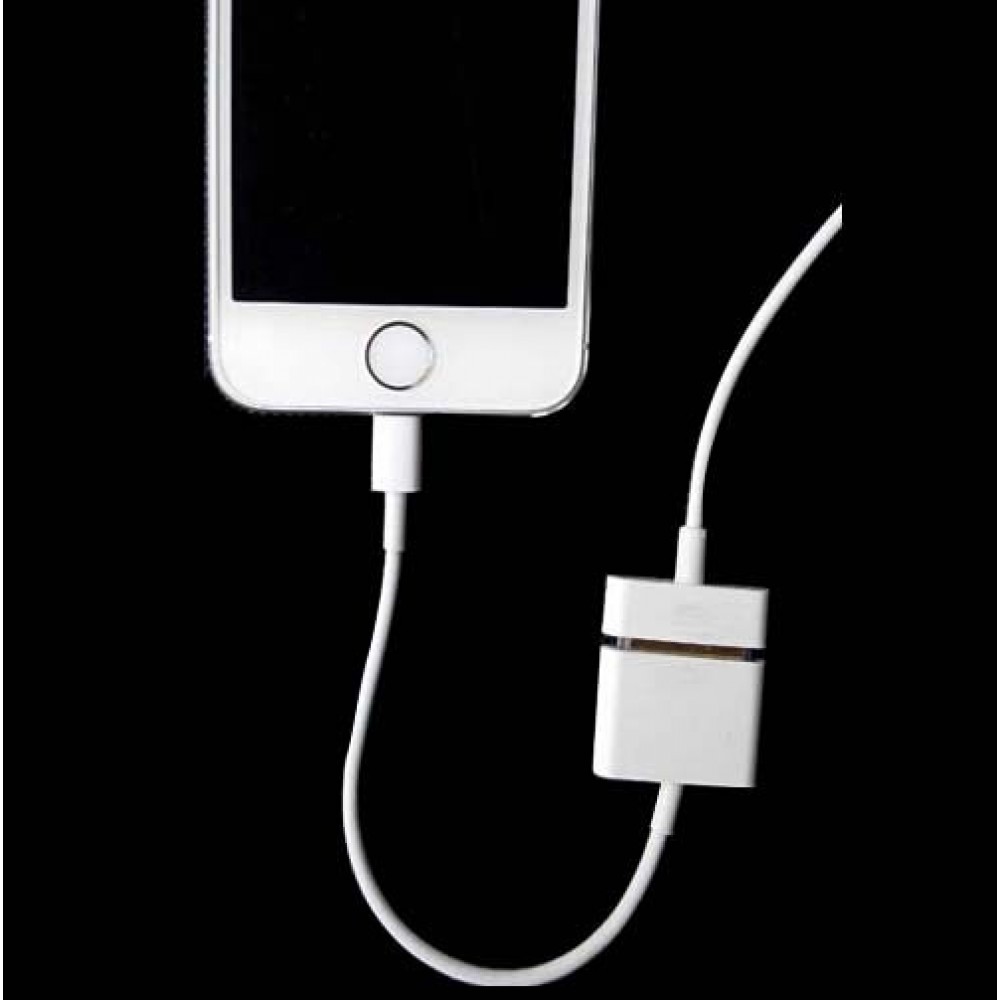 30 Pin To 8 Pin Charger Converter Adapter Cable For iPhone X 7 8 6 plus 5 5S 5C iPad 4 iPod