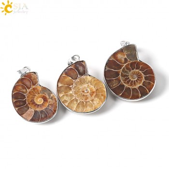 CSJA Natural Stone Ammonite Fossils Seashell Snail Pendants Ocean Reliquiae Conch Animal Necklaces Statement Men Jewellery E252