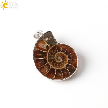 CSJA Natural Stone Ammonite Fossils Seashell Snail Pendants Ocean Reliquiae Conch Animal Necklaces Statement Men Jewellery E252