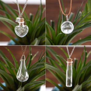 Make A Wish Glass Bead Orb Natural dandelion seed in glass long necklace Glass bottle necklace silver plated Necklace jewelry