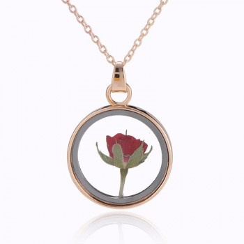 2018 Hot Dried Flower Pendant Necklace Glass Ball Plant Flower Crystal Long Chain Necklace Gift Collier Femme