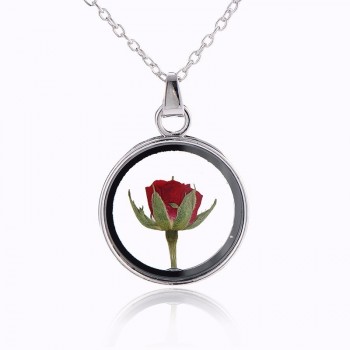 2018 Hot Dried Flower Pendant Necklace Glass Ball Plant Flower Crystal Long Chain Necklace Gift Collier Femme