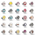 30mm 25 models Stainless Steel Car Air Freshener Perfume Essential Oil Diffuser necklace Locket Christmas gift