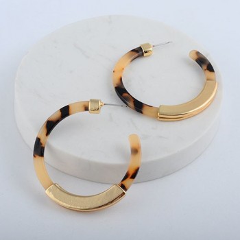 Fashion Bohemia Acrylic Acetate Hoop Earrings for Women Vintage Leopard Print Circle Hoops Alloy Earring za jewelry Female 2018
