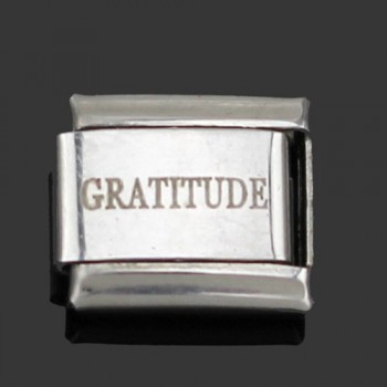 1Pcs 9mm Width Original Daisy Orange White Love Faith Hope Dream Letter Charm Fit Bracelet Stainless Steel Jewelry  Making DJ02