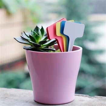 20pcs Gardening Plant T shape Waterproof Tags Flower Vegetable Planting Label Tools farm garden Seedling tray mark garden tools