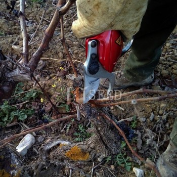 Electrical Pruning Shears HDP36-1 electric secateurs 8-10 hours lasting