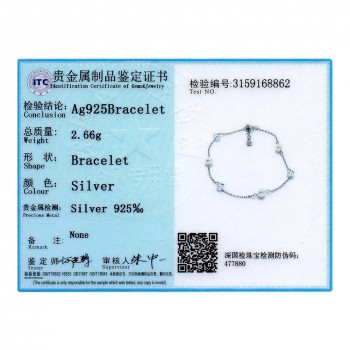 Hot Sale Personality Fashion 925 Silver Anklets Crystal Women Partyamp;wedding Jewelry Gifts