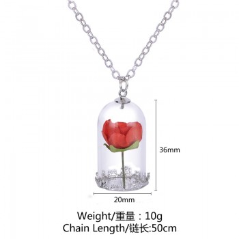 Houbian Classical Glass Vial Necklace Prince Rose Necklace pendants Retro Crystal Natural Dried Flowers Necklace For Mom family