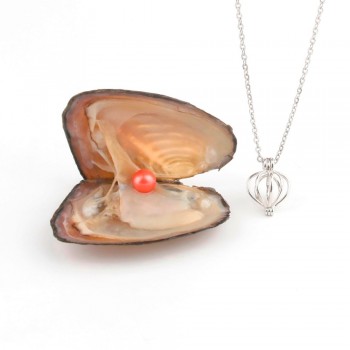 Pearl Oysters with Round 7-8 mm Love Wish Real Freshwater Pearl and Nacklace Set (Chain 55cm)