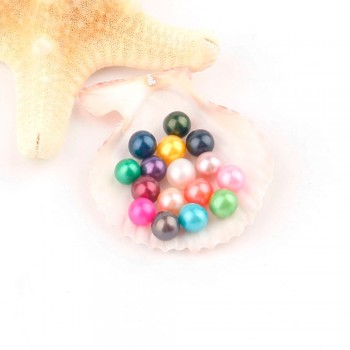 Pearl Oysters with Round 7-8 mm Love Wish Real Freshwater Pearl and Nacklace Set (Chain 55cm)
