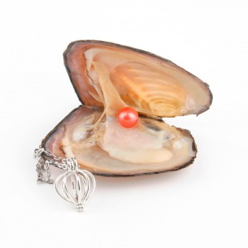 Pearl Oysters with Round 7-8 mm Love Wish Real Freshwater Pearl and Nacklace Set (Chain 55cm)